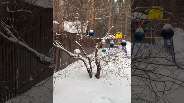 Ханты -Мансийск , зимой очень красивый , не ленись , приезжай , бронируй тут жилье , апартаменты , г