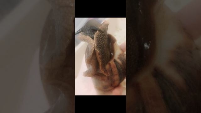 1000079036.mp4