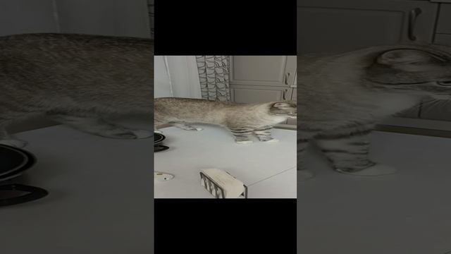 Этот вжжжж не спроста!