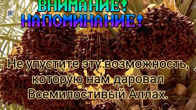 Вблагословенные месяцы Раджаб,Шабан иРамадан мы имеем возможность заслужить особую награду отАЛЛАХА.