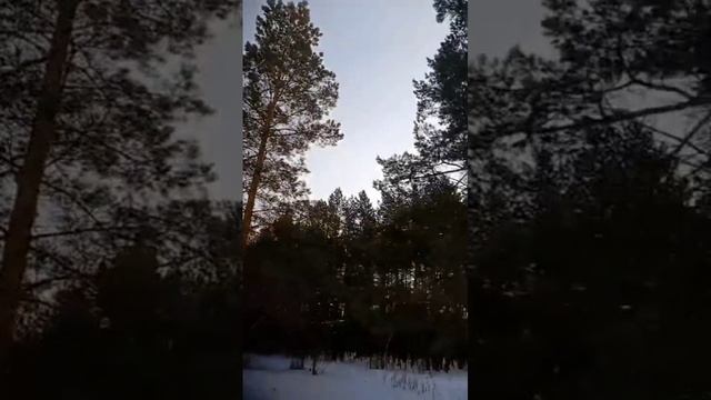 1 января.