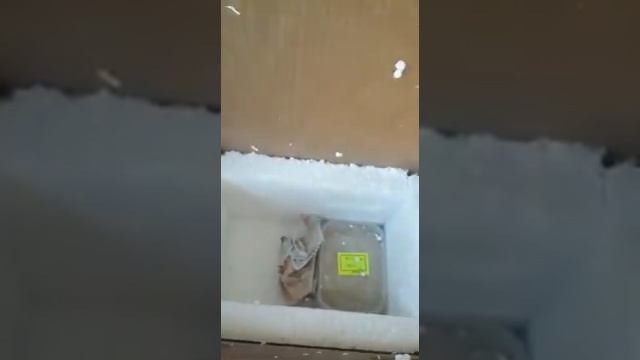 Коконы для Андрея из Рассказово Тамбовской обл.