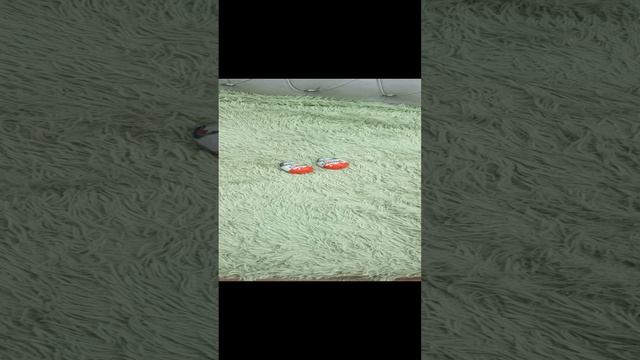 1000001492.mp4