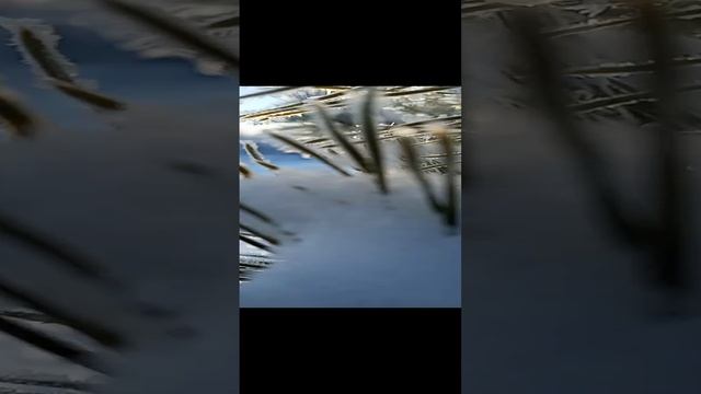 1 января 2025