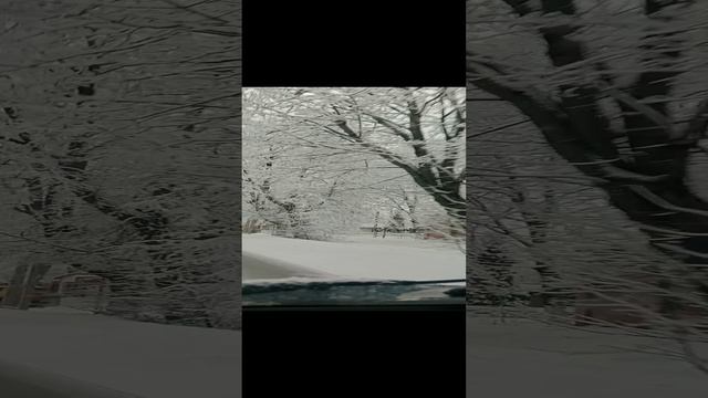1000080325.mp4