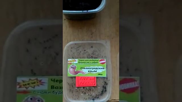 Коконы Сталинградский КАиМ для Ольги в Питер.