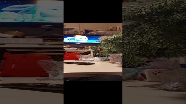 1000007372.mp4