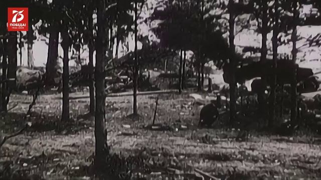 ПОБЕДА 75 fps 25