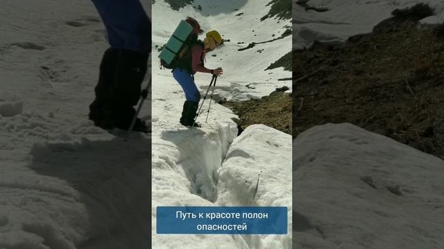 Оранжереи майского Хамар-Дабана