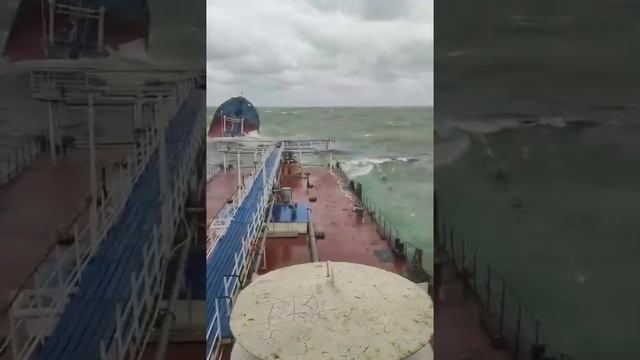 Волны в Керченском проливе разрубили напополам два судна — Волгонефть-212 и Волгонефть-239