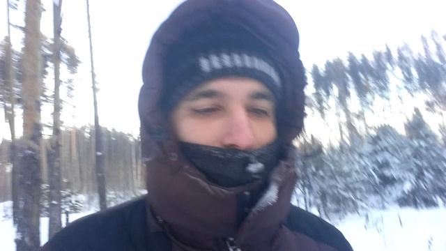 Змея любит тишину