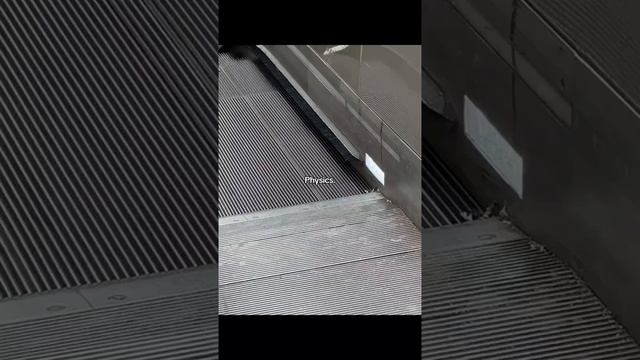 Физика конечно многое решает [480] [audiovk.com]