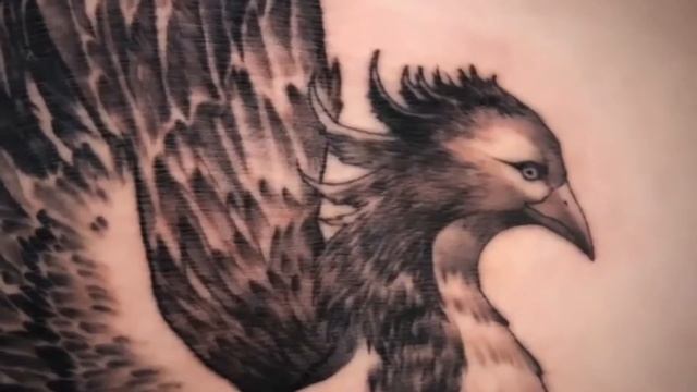 TOP 10 best PHOENIX TATTOO DESIGNS in 2022 | ТОП 10 КРАЩИХ ТАТУ ФЕНІКС