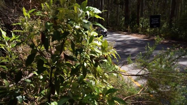Targa High Country 2018 Tour - Morris Mini Cooper S, Pure Sound