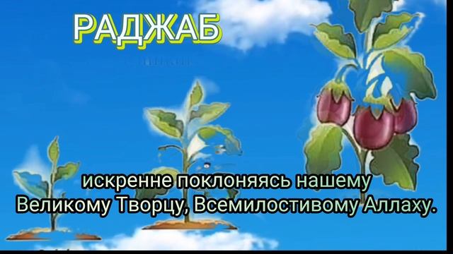 Вблагословенные месяцы Раджаб,Шабан иРамадан мы имеем возможность заслужить особую награду отАЛЛАХА.