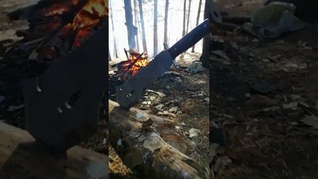 в Кедровом бору гНаходки. январь 2023