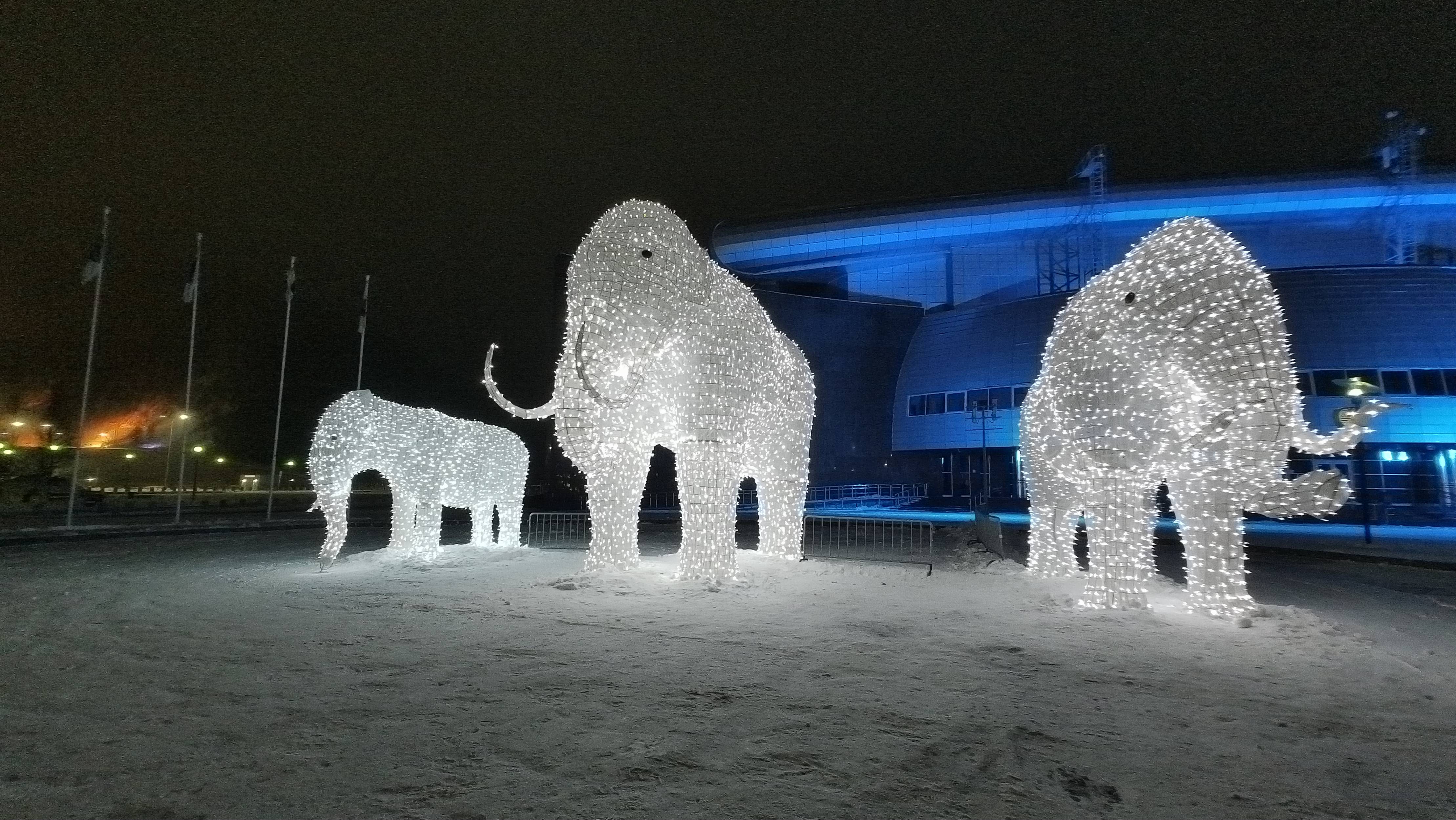 Белые слоны