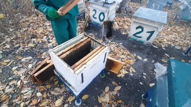 Зажимаємо в ППС-ППУ бджіл до усрачки і зимує 100%!