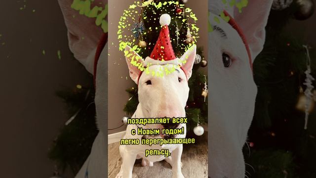 🎄 С Новым годом!