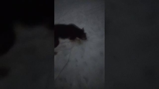 01-01-2025 атата