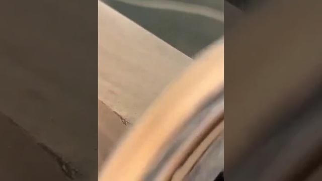 Восстановление сколовшегося угла.