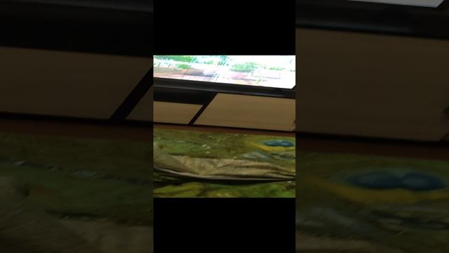 VID_20250101_215931.mp4