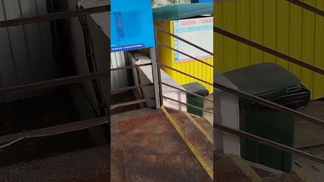 1000119242.mp4