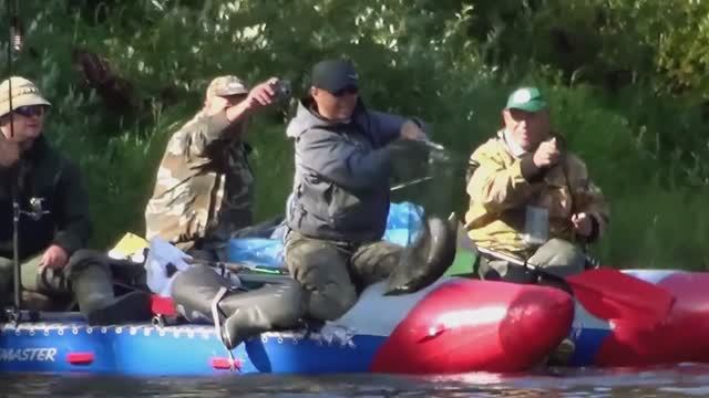 Экспедиция Ангстрем. Река Варзуга. Кольский полуостров