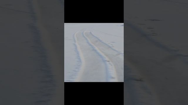 1000029121.mp4
