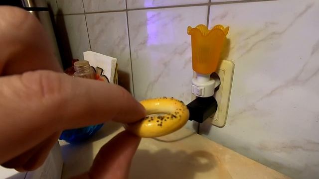 ФИТОЛАМПЫ для растений