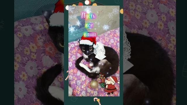 С НОВЫМ ГОДОМ 🎄 🎉🎊🥳🤗🎁✨!!!#новыйгод#праздник#счастье#котики#рутюб