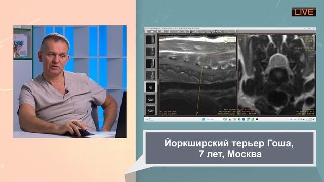 смертельный рентген не сгибай шею