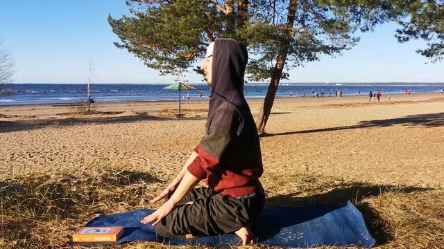 Симхасана 1/ поза льва *1 (Техника выполнения асан йоги)