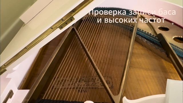 Запись звука с рояля на DJI MIC 2