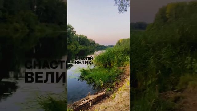 Как там дела на рыбалке ? #рыбалка #рыба #удочка #фидер