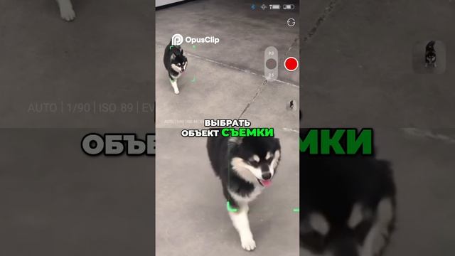 Запись без границ_ Идеальная съемка с ИИ