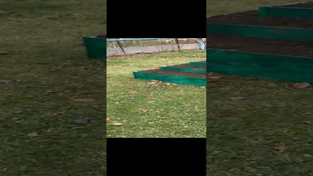 01-01-2025