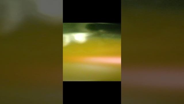 1000056007.mp4
