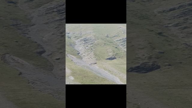 1000033235.mp4