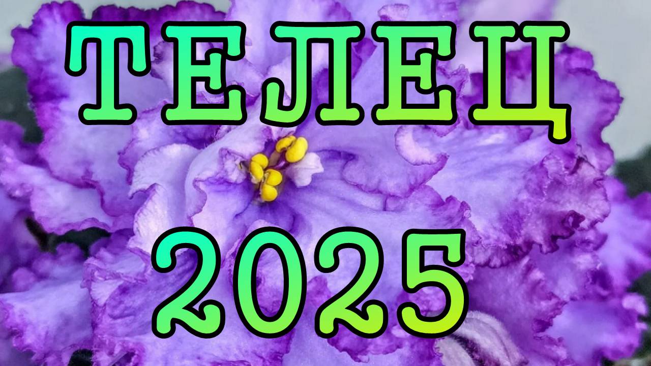 ТЕЛЕЦ таро прогноз на какждый месяц 2025 года.