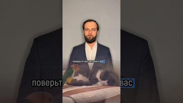 Сегодня день оплаты кредитов, а денег нет?
