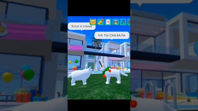 Снимала с двух Акка!