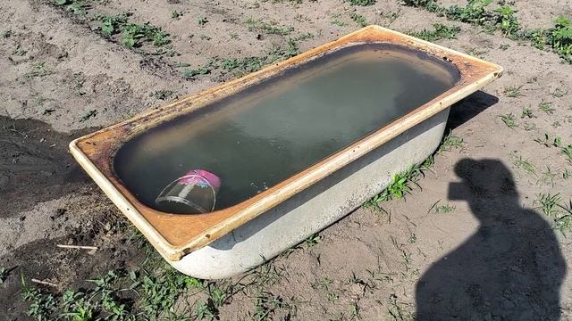Весенние хлопоты.