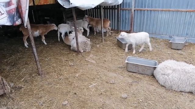 катумский детский сад