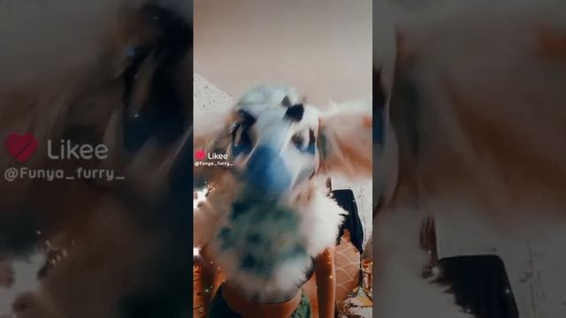 scene_output.mp4
