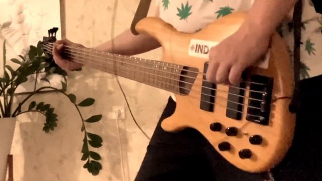 Foo Fighters - LeARN TO FLY (BASS COVER)