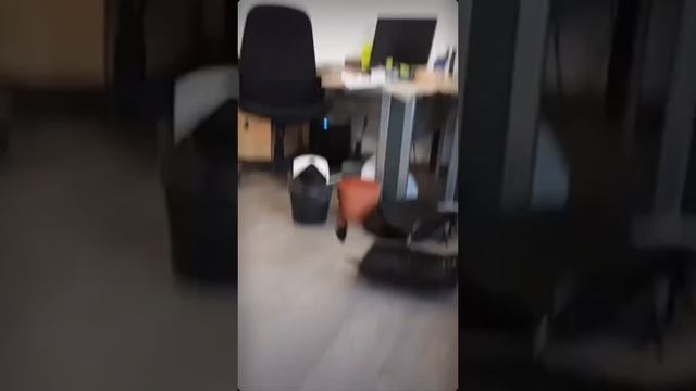 вот до чего доводят игры
