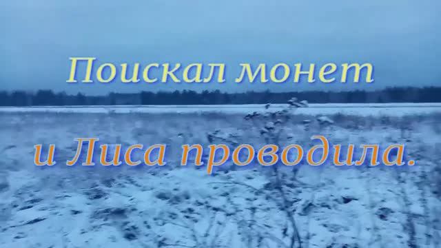 Лиса проводила