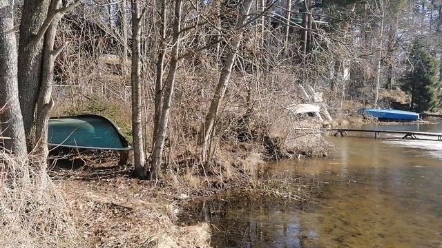 Едем опять за Катумским бараном. К-визит. Токсово
