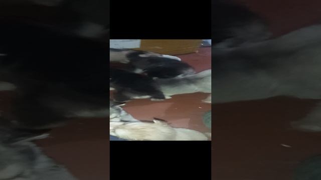 1000005551.mp4